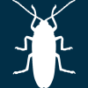 cockroach-silhouette