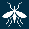 mosquito